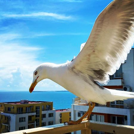 Sea View Panoramic Apartments, Fort Noks Crown Club Sveti Vlas Εξωτερικό φωτογραφία