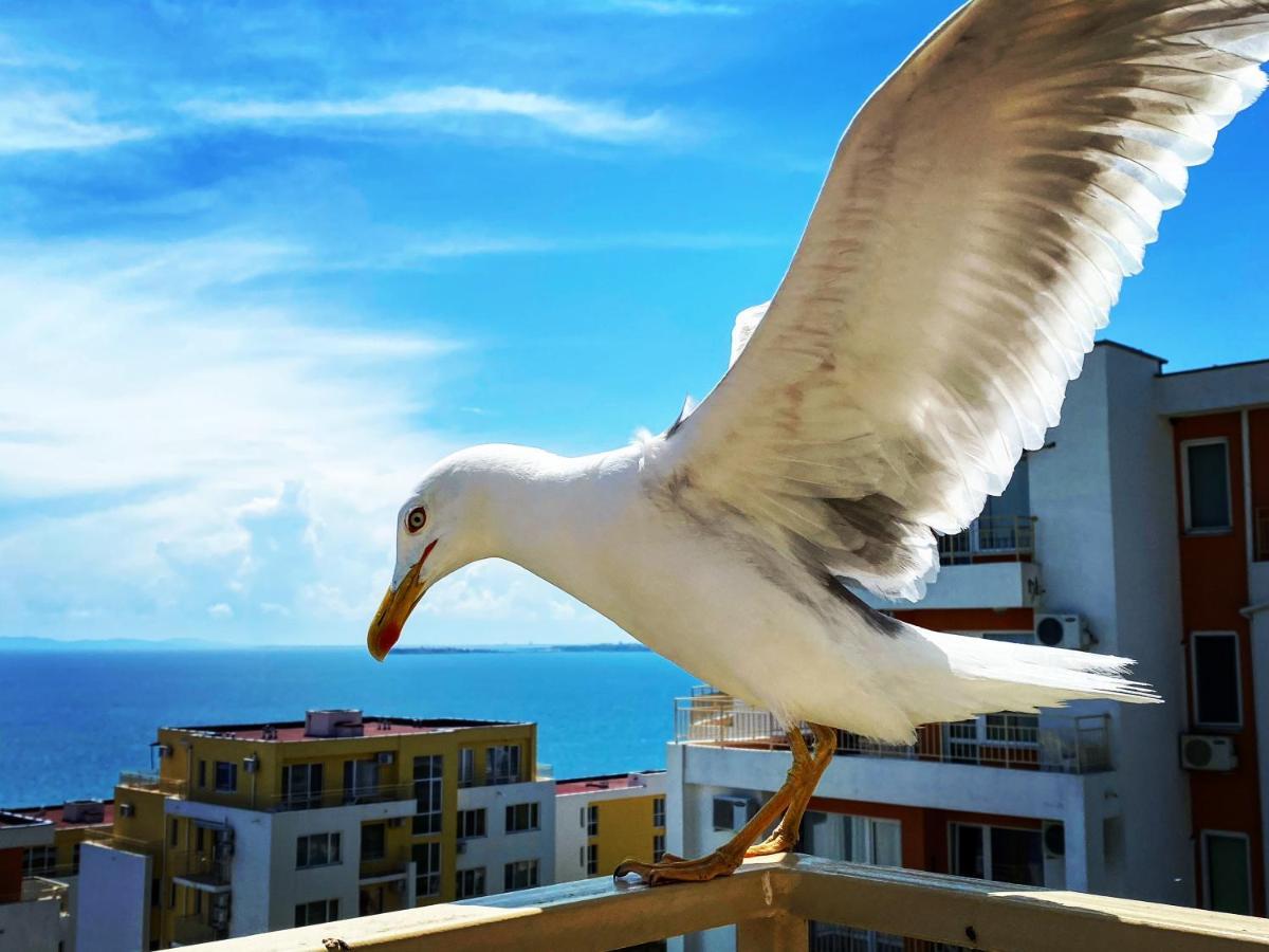 Sea View Panoramic Apartments, Fort Noks Crown Club Sveti Vlas Εξωτερικό φωτογραφία